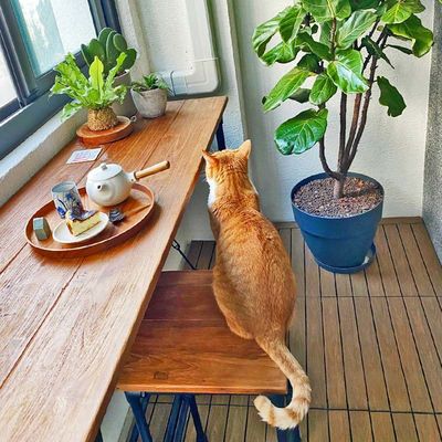 قیمت خوب کاشی های چوبی فرگشت قابل استفاده مربع ضد آب برای استفاده در فضای باز آنلاین